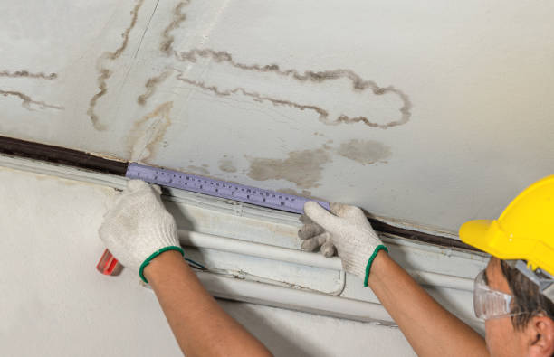 Reliable Basement Water Removal contractor in Mason, MI by Water Damage Irwin